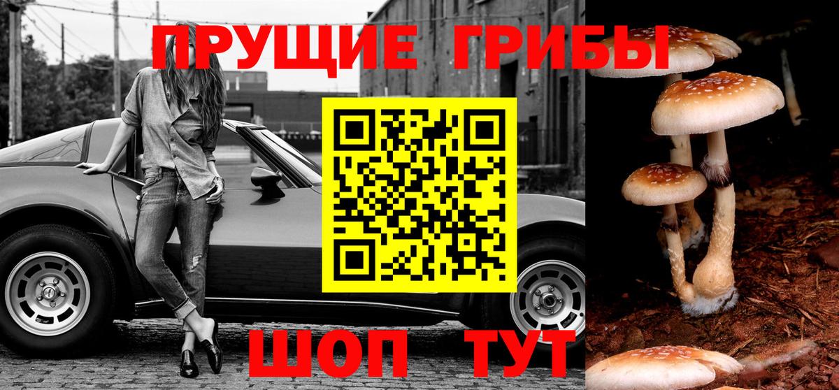 Псилоцибиновые грибы Magic Shrooms Саров