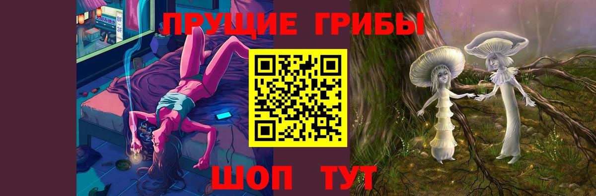 Псилоцибиновые грибы прущие грибы  Вход с VPN  Саров  Псилоцибиновые грибы Psilocybe 